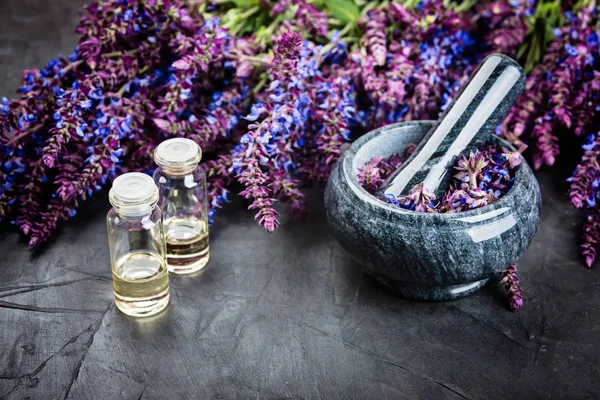 Sage plant,  essential oil and  stone mortar on dark background. Alternative health care fresh salvia flowers.