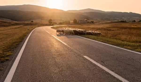 Road Sunset Bosnia Herzegovina — Stock Photo, Image