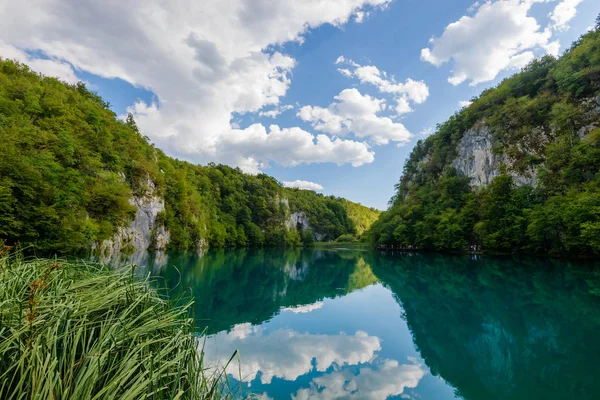 普利特维切湖国家公园的绿松石水 克罗地亚 — 图库照片