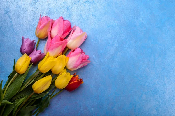 Розовые Желтые Тюльпаны Голубом Каменном Фоне Весенний Фон — стоковое фото