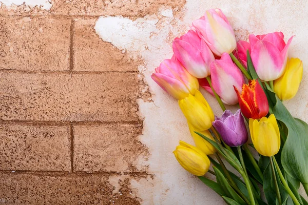 Свежие Розовые Желтые Тюльпаны Весенний Фон — стоковое фото