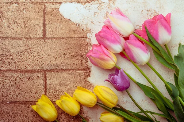Frische Rosa Und Gelbe Tulpen Frühling Floralen Hintergrund — Stockfoto