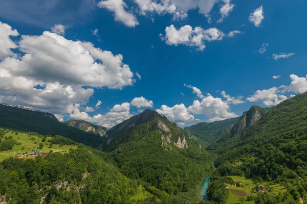Naturalny Krajobraz Górskie Rzeki Tara Park Narodowy Czarnogóra — Zdjęcie stockowe