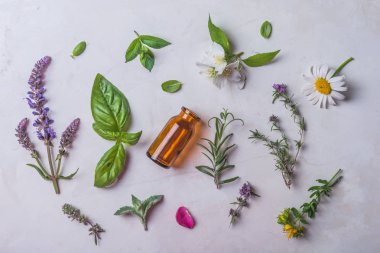 Farklı taze otlar için alternatif tıp ve aromaterapi beyaz arka planda, üstten görünüm