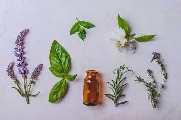 Diversi Tipi Erbe Fresche Medicina Alternativa Aromaterapia Sfondo Bianco Vista — Foto Stock