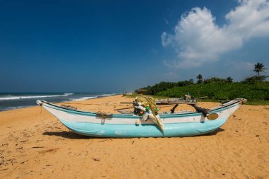 Tekneler sahilde palmiye ağaçları, Sri Lanka ile