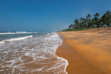El değmemiş tropikal plaj avuç, Sri Lanka