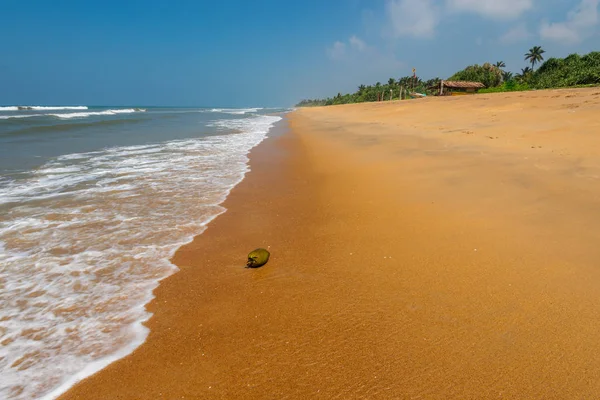 Praia Tropical Intocada Com Palmeiras Sri Lanka — Fotografia de Stock