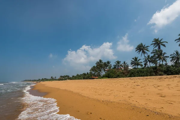 Praia Tropical Intocada Com Palmeiras Sri Lanka — Fotografia de Stock