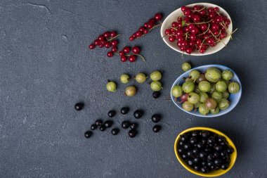 Yaz taze meyveleri yeşil Bektaşi üzümü kırmızı Bektaşi üzümü, gri arka planda kırmızı ve siyah frenk üzümü