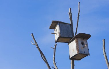 Mavi gökyüzünde eski ahşap yuvalama kutuları