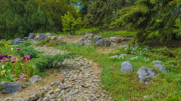 Rockery dans le jardin avec des pierres et une variété de fleurs et de plantes différentes — Photo