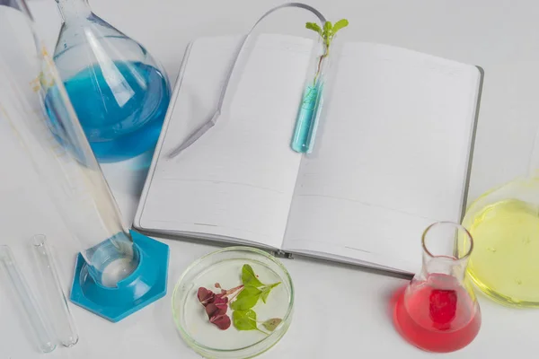 Test tube with leaves on a laptop which lies on a white table. Nearby are flasks with colored liquids. Backgraund. — 스톡 사진