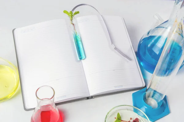 Tubo de teste com folhas em um laptop que se encontra em uma mesa branca. Nas proximidades estão frascos com líquidos coloridos. Retrocesso . — Fotografia de Stock