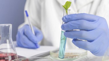 Biyoteknoloji kimyageri laboratuvarda çalışıyor. Test tüpünü yapraklarla tutan ve araştırma sonuçlarını not defterine yazan adam.