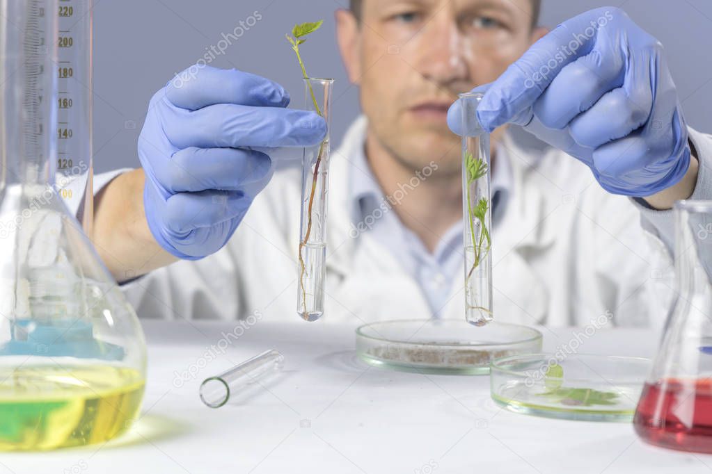 Scientist holding samples of new super grow plants