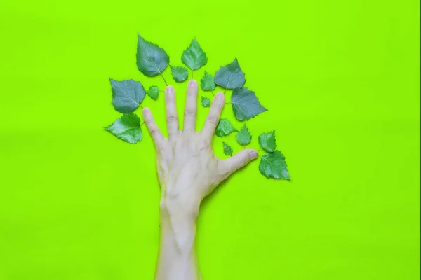 Concepto de responsabilidad ambiental corporativa: Mano humana con hojas en forma de árbol sobre un fondo verde . —  Fotos de Stock