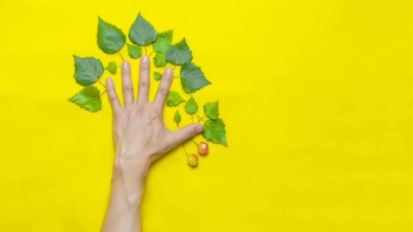 Concepto ecológico mano humana con hojas en forma de árbol sobre fondo amarillo . — Foto de Stock