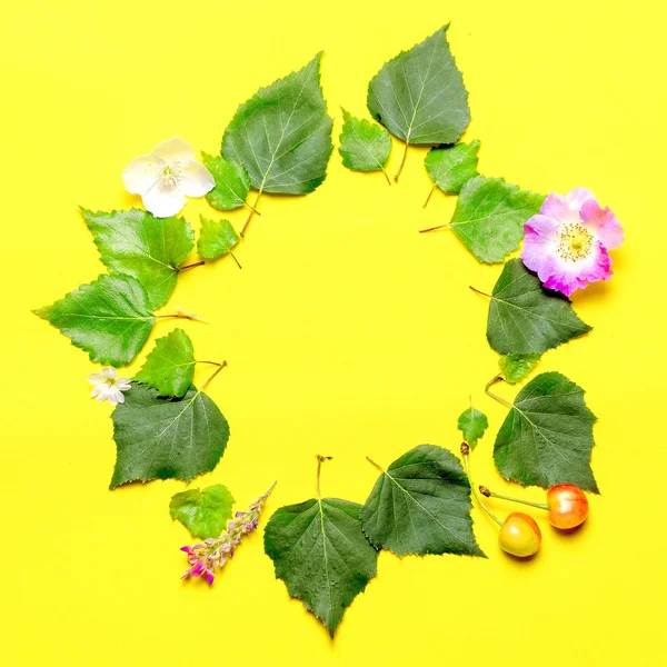 Las hojas y la flor están dispuestas en forma de círculo. plano laico — Foto de Stock