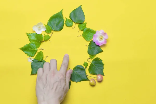 La mano indica el lugar para la inscripción, dispuestas de hojas verdes y flores. El fondo es blanco. Círculo de hojas verdes y flores . — Foto de Stock