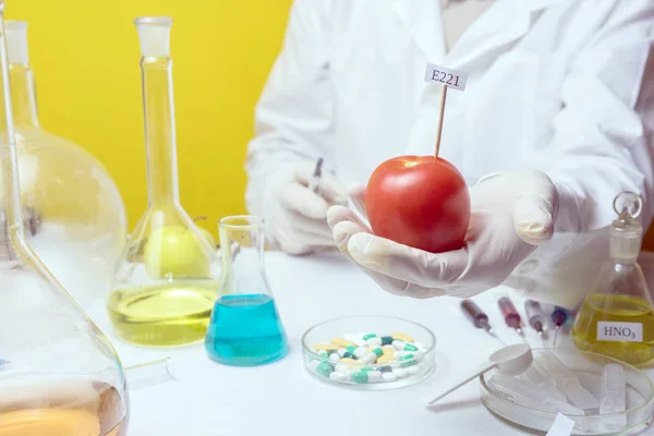 Γενετικά τροποποιημένα τρόφιμα ΓΤΟ στην ιδέα του εργαστηρίου. Εργαστηριακός Βοηθός Εργαστηρίου για την ασφάλεια των τροφίμων, ανάλυση φρούτων από την αγορά — Φωτογραφία Αρχείου