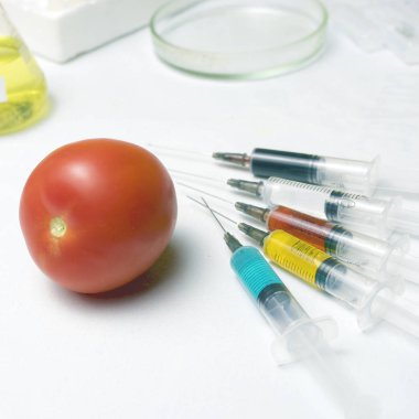 Pestisitler ve nitratlar bir şırınga ile kırmızı domates içine enjekte edilir. GDO kavramı ve genetiği değiştirilmiş organizma. Kimyasal katkı maddesi içermeyen Gdo'suz ve doğal sebzeler.