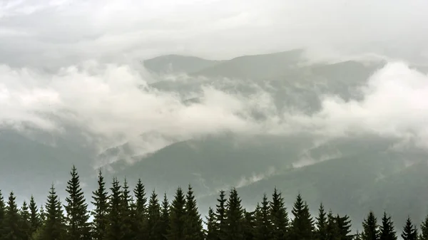 Pochmurny i mglisty dzień w górach — Zdjęcie stockowe