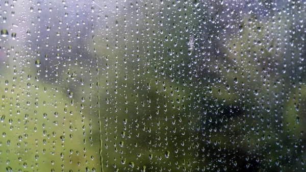 Gocce di pioggia sulla finestra con albero verde sullo sfondo — Foto Stock