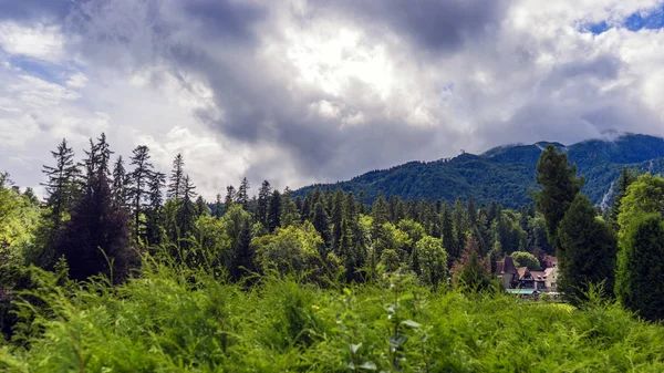 Carpatian beboste berghelling in de Cloud met de groenblijvende coniferen gehuld in een schilderachtig landschap uitzicht — Stockfoto