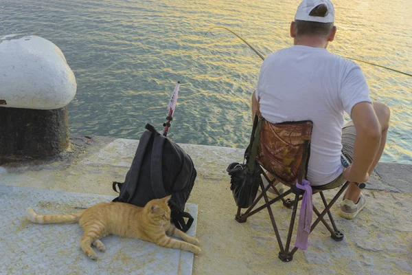 Pescador con gato. El gato está esperando comida. —  Fotos de Stock