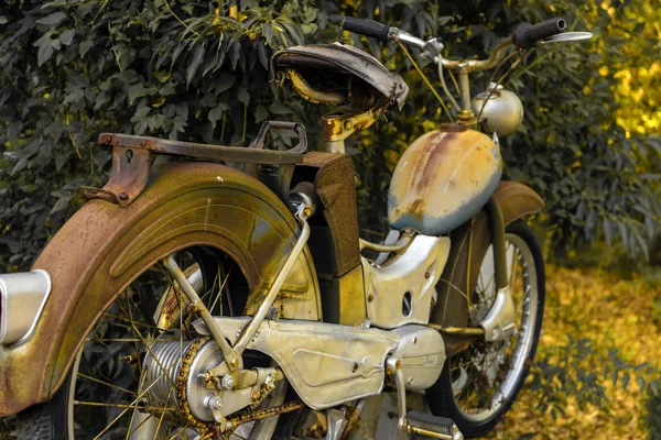 Stary retro motocykl zaparkowany przez zielone żywopłoty. Widok z tyłu. — Zdjęcie stockowe