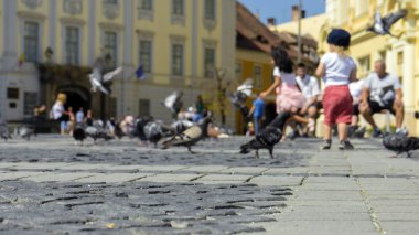 Şehirde yaz, eski arnavut kaldırımlı sokak. Çocuklar güvercinkovalar. Kaldırımda görüntüle.