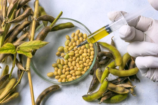 Bilim adamı soya fasulyesinin kimyasal analizini yapıyor. Üstte görüntü.