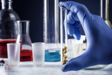 Araştırmacı el test tüpleri ile bir tablonun arka planda soya ile bir test tüpü tutar.