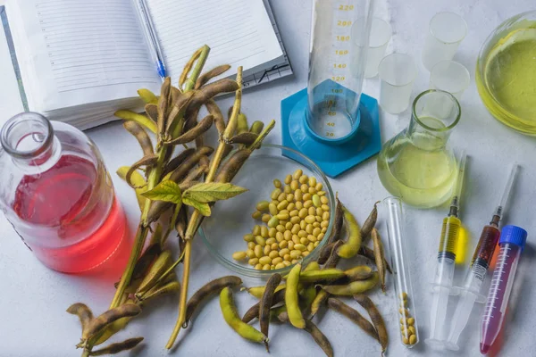 Soybean, laboratory research, syringe, soybean pods and test tubes on a table with a notebook for writing.