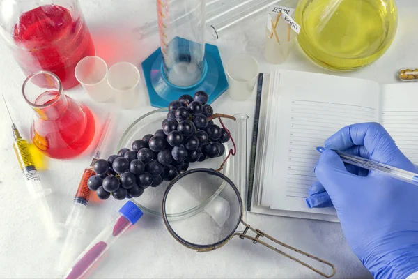 Experiments with grape fruits in the laboratory. The hand of a scientist writes in a notebook.