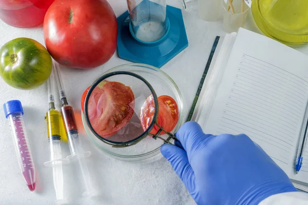 Fechar as mãos de cientistas com lupa a fazer testes no laboratório. Nas proximidades encontra-se um caderno para notas . — Fotografia de Stock