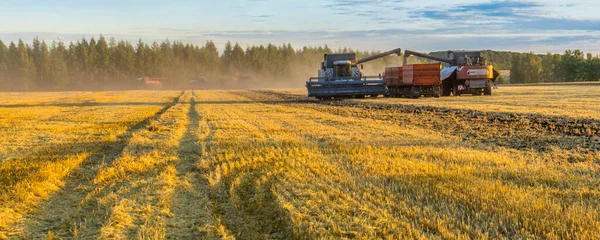 Tarlalarda ekin hasat etmek için tarım makinesi, özel ekipmanlar iş başında. Sahadaki tarımsal makineler. Ağır ekipman, gün batımı.