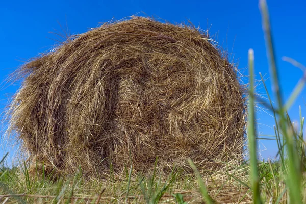 Foto Hay Fardos Campo Cielo Azul Cerca —  Fotos de Stock