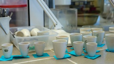 Fotoğraf laboratuarı asistanının masası. Biyolojik çalışmalar biyokimya laboratuvarında gıda kalitesi üzerine.