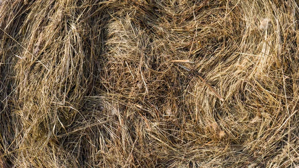 Foto Trockenes Gelbes Heu Gras Hintergrundstruktur Nach Der Ernte — Stockfoto