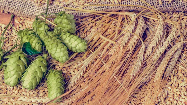 Hops, malt ve altın rengi arpa eski ahşap masada.
