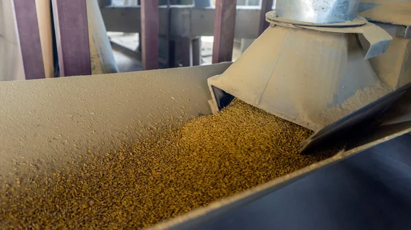 Asansördeki fotoğraf tanecikli taşıyıcı. Tarım Sanayi Arkaplanı