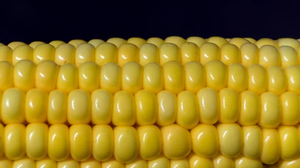 Photo Close Shot Fresh Ear Corn — Stock Photo, Image