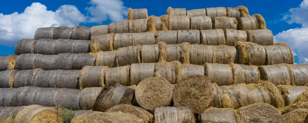 Foto Montón Fardos Heno Apilados Uno Encima Del Otro Contra —  Fotos de Stock