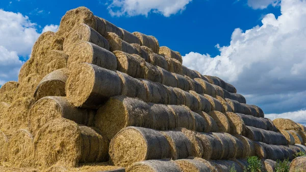 Photo Beaucoup Balles Foin Empilées Les Unes Sur Les Autres — Photo