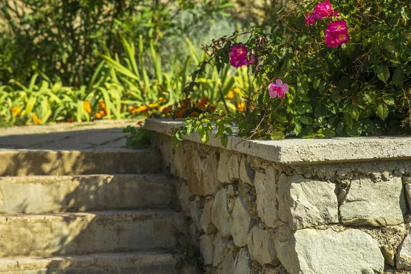 Escalones de piedra natural y muro de contención, jardinera y jardín que enmarcan la entrada de la casa. Hermoso paisaje duro, diseño de paisaje colorido — Foto de Stock