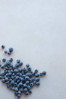 hafif bir arka plan üzerinde taze yaban mersini bir demet