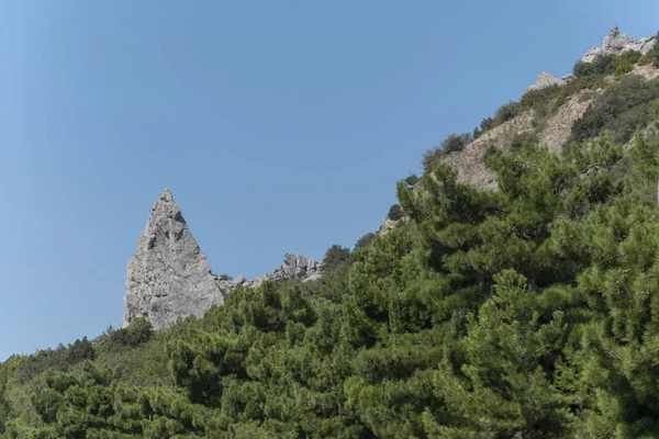 Yaz peyzaj dağlar ve eteklerinde çam ile