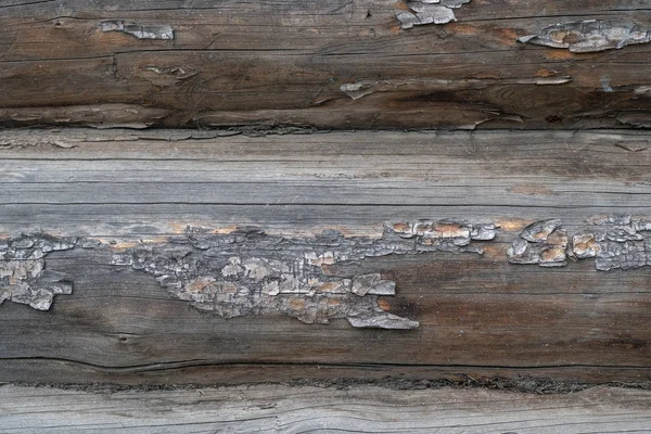 Eski yuvarlak ahşap kütükler. Yakın plan. Geçmişi. Doku.